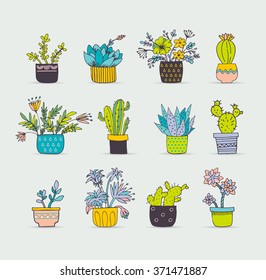 Cute hand drawn cactus set