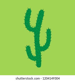 Cute hand drawn cactus vector illustration. Green mexican, desert cactus with spines, isolated on green background.