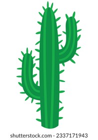 Cute hand drawn cactus. White background, isolate. 