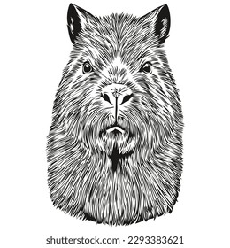 Cute hand drawn Capybara, vector illustration black and white capybaras
