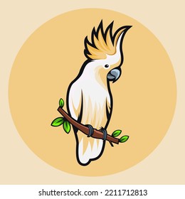 Cute hand drawn cartoon birds Illustration Vector Graphics