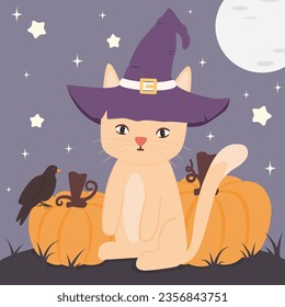 cute hand drawn cartoon character cat with wizard hat and pumpkins funny halloween vector illustration 