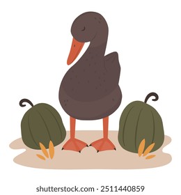 Cute hand drawn cartoon character brown duck with green pumpkins vector illustration isolated on white background for thanksgiving holiday