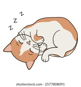 cute hand drawn cartoon character sleeping white and orange cat vector illustration isolated on white background