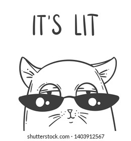 Cute hand drawn cat with slang phrase It`s Lit. Cartoon character. Great for funny greeting card,posters,stickers.