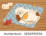 Cute hand drawn cat sleeping on carpet surrounded by autumn leaves and candles vector flat illustration. Domestic animal relax lying on wooden floor. Cozy fall atmosphere