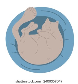 Cute hand drawn cat is sleeping in a cat bed. The cat is curled up in a pet cushion. Kitty asleep lying on a soft pillow. Vector illustration