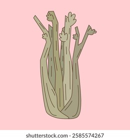 cute hand drawn celery vegetable vector illustration isolated on pink background