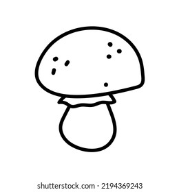 Cute hand drawn champignon mushrooms. Doodle line art vector illustration for vegetable blanks, cooking recipes and kitchen design. Linear food ingredient.