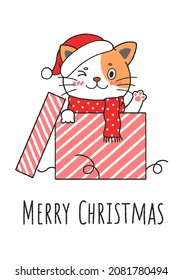 Cute Hand Drawn Christmas Kitty Cat In A Box