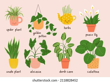 Cute hand drawn collection of indoor plants. Decorative elements for interior design. Set of cartoon vector illustrations