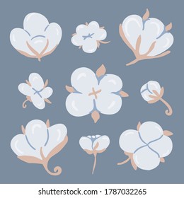 Juego de algodón estirado a mano aislado en un fondo azul. Flor y bola de algodón. Símbolo y logotipo de textil ecológico natural, tela.Ilustración vectorial.