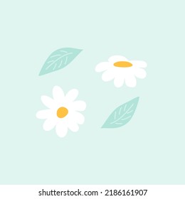 Cute hand drawn daisy flowers vector illustration