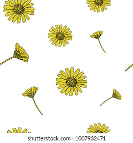 Cute Hand Drawn Daisy Seamless Pattern on White Background. Vector Repeat Pattern with Chamomile Flowers.