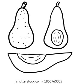 Cute hand drawn doodle avocado set isolated on white background. Vector illustration. 