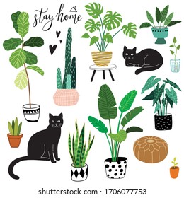 cute hand drawn doodle home exotic plants and black cat icon set