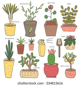 Cute hand drawn doodle house, office plants collection including aloe, pipal, lemon tree, geranium, violet, dracaena, crassula, zamioculcas, sansevieria.Objects for plant care including shovel,sprayer