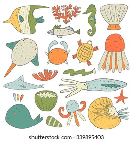 Cute hand drawn doodle sea animals collection including sea star, fish, whale, shell, coral, crab, octopus, jellyfish, nautilus, turtle, eel, angel fish, sea horse, shark, squid, ray. Sea animals icon