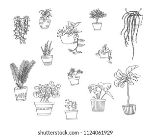 Cute hand drawn doodle vector illustration of  different indoor plants.