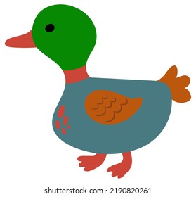 Cute hand drawn duck. Farm animals. White background, isolate. vector illustration.
