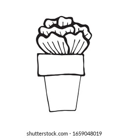 Cute hand drawn element of flower pot. Doodle vector illustration house plants for wedding design, logo and greeting card. Isolated on white background.