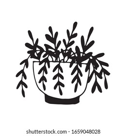 Elemento dibujado a mano de maceta de flor. Plantas de la casa de ilustraciones para el diseño de bodas, logotipo y tarjeta de felicitación. Aislado sobre fondo blanco.