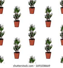 Elemento dibujado a mano de la maceta de flor patrón sin fisuras. Plantas de la casa de ilustraciones para el diseño de bodas, logotipo y tarjeta de felicitación. Aislado sobre fondo blanco.