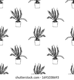 Elemento dibujado a mano de la maceta de flor patrón sin fisuras. Plantas de la casa de ilustraciones para el diseño de bodas, logotipo y tarjeta de felicitación. Aislado sobre fondo blanco.