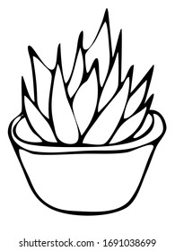 Cute hand drawn element of flower pot. Doodle vector illustration house plants for wedding design, logo and greeting card. Isolated on white background.