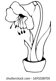 Cute hand drawn element of flower pot. Doodle vector illustration house plants for wedding design, logo and greeting card. Isolated on white background.