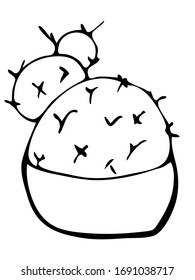Elemento dibujado a mano de maceta de flor. Plantas de la casa de ilustraciones para el diseño de bodas, logotipo y tarjeta de felicitación. Aislado sobre fondo blanco.