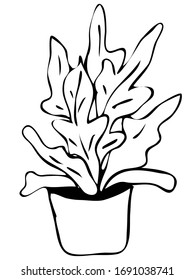 Cute hand drawn element of flower pot. Doodle vector illustration house plants for wedding design, logo and greeting card. Isolated on white background.