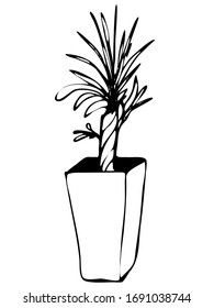 Cute hand drawn element of flower pot. Doodle vector illustration house plants for wedding design, logo and greeting card. Isolated on white background.