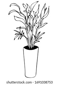 Cute hand drawn element of flower pot. Doodle vector illustration house plants for wedding design, logo and greeting card. Isolated on white background.