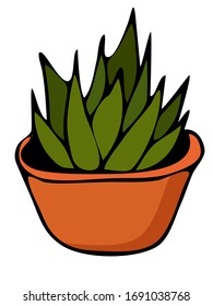 Cute hand drawn element of flower pot. Doodle vector illustration house plants for wedding design, logo and greeting card. Isolated on white background.