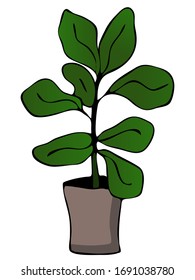 Cute hand drawn element of flower pot. Doodle vector illustration house plants for wedding design, logo and greeting card. Isolated on white background.