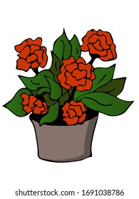 Cute hand drawn element of flower pot. Doodle vector illustration house plants for wedding design, logo and greeting card. Isolated on white background.