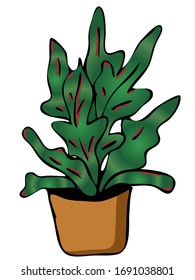 Elemento dibujado a mano de maceta de flor. Plantas de la casa de ilustraciones para el diseño de bodas, logotipo y tarjeta de felicitación. Aislado sobre fondo blanco.