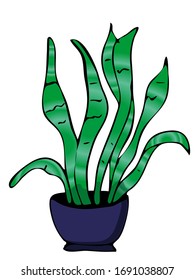 Elemento dibujado a mano de maceta de flor. Plantas de la casa de ilustraciones para el diseño de bodas, logotipo y tarjeta de felicitación. Aislado sobre fondo blanco.
