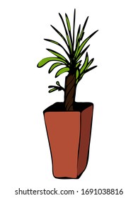 Elemento dibujado a mano de maceta de flor. Plantas de la casa de ilustraciones para el diseño de bodas, logotipo y tarjeta de felicitación. Aislado sobre fondo blanco.