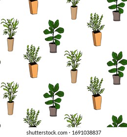 Cute hand drawn element of flower pot seamless pattern. Doodle vector illustration house plants for wedding design, logo and greeting card. Isolated on white background.