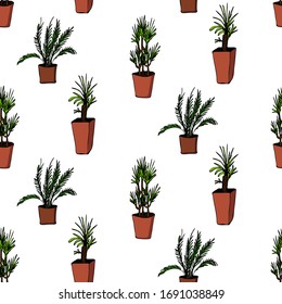Elemento dibujado a mano de la maceta de flor patrón sin fisuras. Plantas de la casa de ilustraciones para el diseño de bodas, logotipo y tarjeta de felicitación. Aislado sobre fondo blanco.