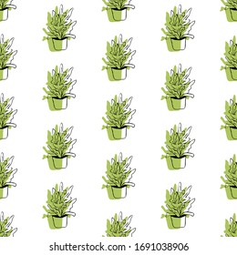 Cute hand drawn element of flower pot seamless pattern. Doodle vector illustration house plants for wedding design, logo and greeting card. Isolated on white background.