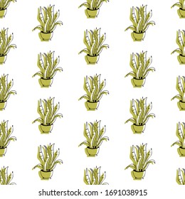 Cute hand drawn element of flower pot seamless pattern. Doodle vector illustration house plants for wedding design, logo and greeting card. Isolated on white background.