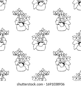 Cute hand drawn element of flower pot seamless pattern. Doodle vector illustration house plants for wedding design, logo and greeting card. Isolated on white background.