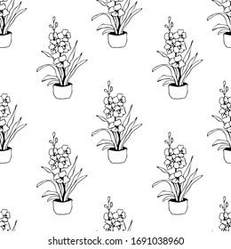 Elemento dibujado a mano de la maceta de flor patrón sin fisuras. Plantas de la casa de ilustraciones para el diseño de bodas, logotipo y tarjeta de felicitación. Aislado sobre fondo blanco.