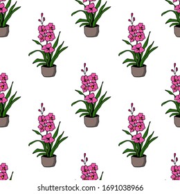 Cute hand drawn element of flower pot seamless pattern. Doodle vector illustration house plants for wedding design, logo and greeting card. Isolated on white background.