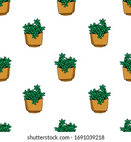 Cute hand drawn element of flower pot seamless pattern. Doodle vector illustration house plants for wedding design, logo and greeting card. Isolated on white background.