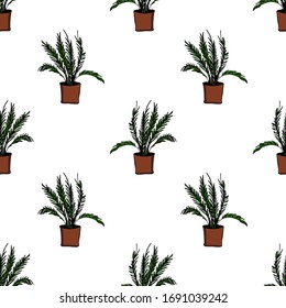 Elemento dibujado a mano de la maceta de flor patrón sin fisuras. Plantas de la casa de ilustraciones para el diseño de bodas, logotipo y tarjeta de felicitación. Aislado sobre fondo blanco.