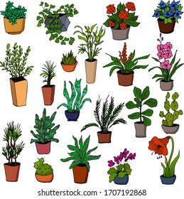 Cute hand drawn element of flower pot. Doodle vector illustration house plants Isolated on white background.